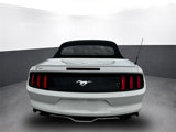 Used 2015 Ford Mustang Premium image 5
