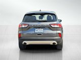 Certified 2022 Ford Escape SEL image 5