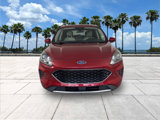 Used 2020 Ford Escape SE image 3