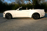 Used 2020 Ford Mustang Premium image 2