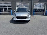 Used 2020 Ford Escape SEL image 5