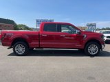 Certified 2024 Ford F150 XLT w/ Equipment Group 303A High image 2