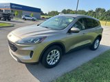 Used 2020 Ford Escape SE image 2