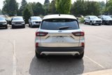 Used 2023 Ford Escape Active image 5
