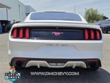 Used 2017 Ford Mustang Premium w/ Equipment Group 201A image 6
