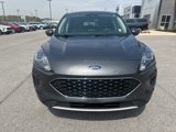 Used 2020 Ford Escape SE image 2