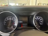 Used 2019 Ford Mustang GT w/ Equipment Group 301A image 6