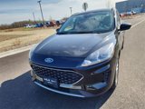 Used 2020 Ford Escape SE image 4