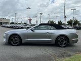 Used 2022 Ford Mustang Premium image 4