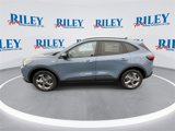 New 2025 Ford Escape ST-Line w/ Tech Pack #1 image 5