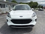 Used 2020 Ford Escape SE image 2