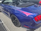 Used 2016 Ford Mustang Premium w/ Ecoboost Performance Package image 3
