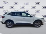 New 2025 Ford Escape ST-Line w/ Equipment Group 301A image 6