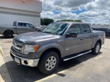 Used 2014 Ford F150 XLT w/ Equipment Group 302A Luxury image 2