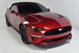 Used 2019 Ford Mustang GT Premium w/ GT Performance Package image 2