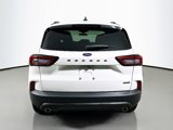 New 2025 Ford Escape ST-Line Elite w/ Tech Pack #2 image 5