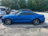 Used 2017 Ford Mustang Premium w/ Equipment Group 201A image 5