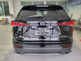 Used 2021 Lexus NX 300 F Sport w/ F Sport Premium Package image 4