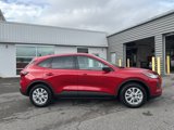 New 2025 Ford Escape Active w/ Tech Pack #1 image 2