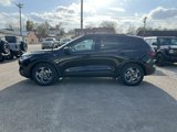 New 2025 Ford Escape ST-Line image 5