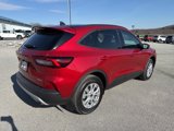 New 2025 Ford Escape Active w/ Cold Weather Package image 3