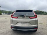 Used 2019 Honda CR-V EX-L image 4