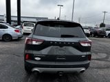 Used 2020 Ford Escape Titanium image 4
