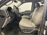Used 2015 Ford F150 XLT w/ Equipment Group 302A Luxury image 4