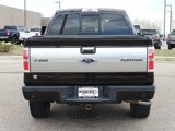 Used 2013 Ford F150 Platinum image 4