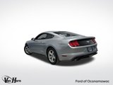 Used 2020 Ford Mustang Coupe image 3