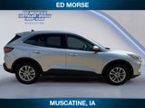Used 2020 Ford Escape SE image 6
