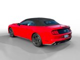 Certified 2023 Ford Mustang Premium image 3