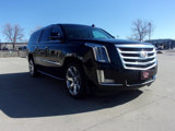 Used 2019 Cadillac Escalade ESV Luxury image 4
