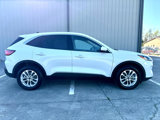 Used 2020 Ford Escape SE image 3