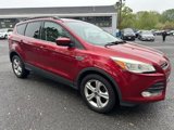 Used 2014 Ford Escape SE w/ Equipment Group 201A image 4