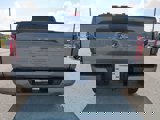 New 2025 Ford F150 STX w/ Equipment Group 200A image 5