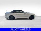 Used 2022 Ford Mustang Premium image 3