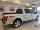 Used 2015 Ford F150 Platinum w/ Equipment Group 701A Luxury image 5