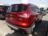 Used 2016 Ford Escape SE w/ SE Leather Comfort Package image 5