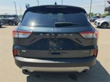 Certified 2022 Ford Escape SE w/ Cold Weather Package image 6