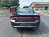 Used 2021 Dodge Charger SXT w/ Cold Weather Package image 4