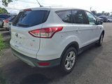 Used 2022 Hyundai Santa Fe SEL w/ Convenience + Premium Package image 4