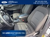 Used 2024 Ford Escape Active w/ Cold Weather Package image 2