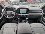 Certified 2021 Ford F150 XLT w/ Equipment Group 302A High image 2