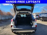 Used 2020 Ford Escape SEL image 6