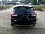 Used 2021 Ford Escape SE w/ Cold Weather Package image 3