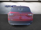 Used 2022 Ford Escape SE image 4