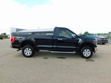 Used 2023 Ford F150 XLT w/ Equipment Group 301A Mid image 2