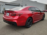 Used 2020 Acura TLX Type S PMC Edition image 5