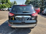 Used 2016 Ford Escape Titanium image 3